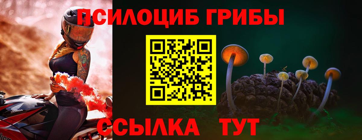 Лосино-Петровский  Галлюциногенные грибы Psilocybe  Вход с VPN 